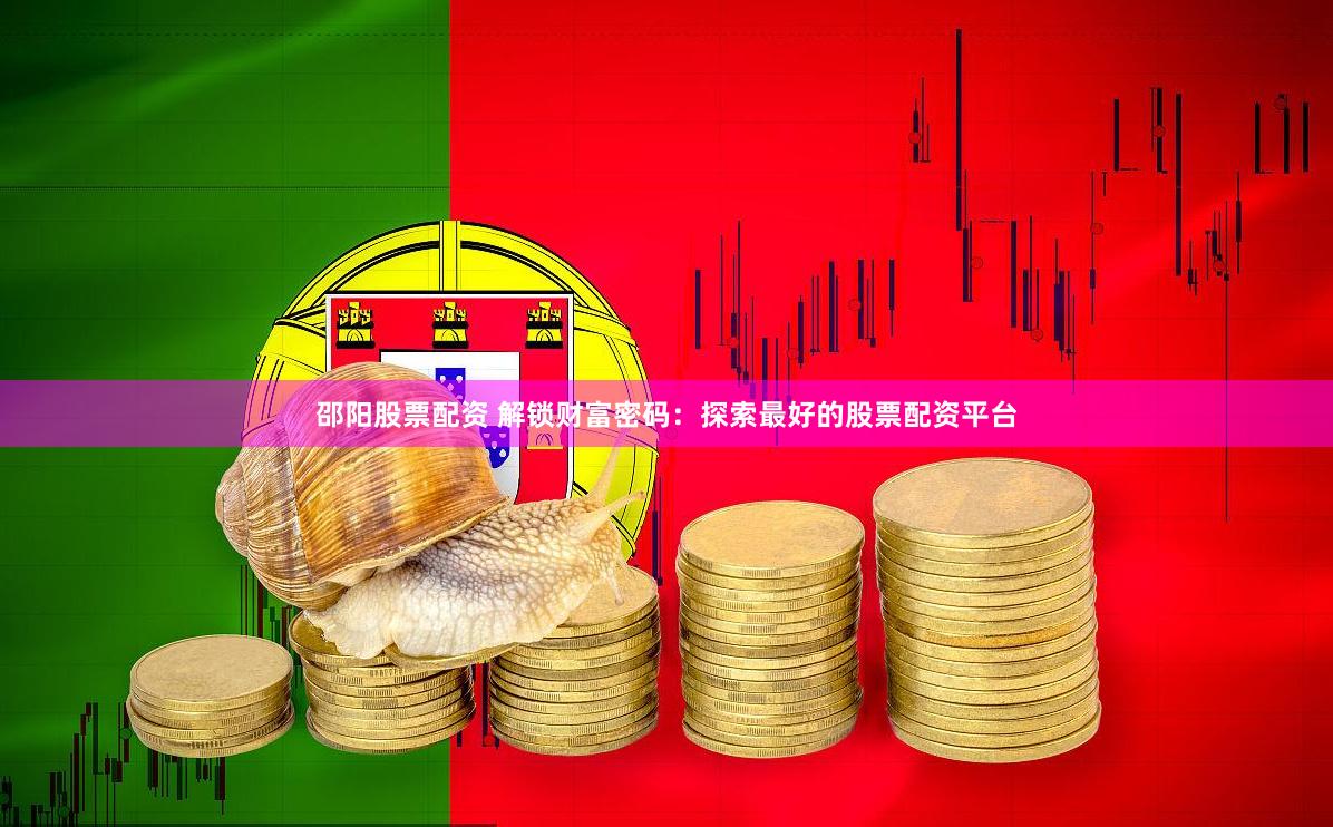 邵阳股票配资 解锁财富密码：探索最好的股票配资平台